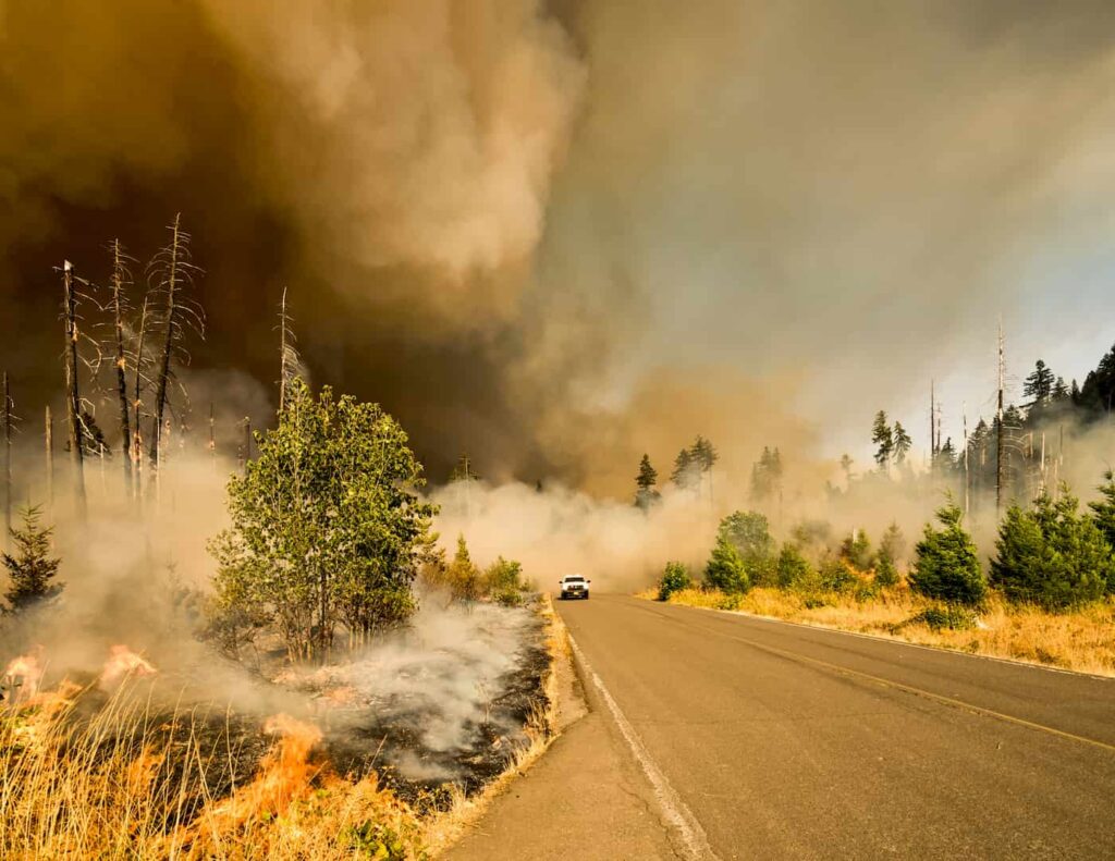 wildfire insurance coverage