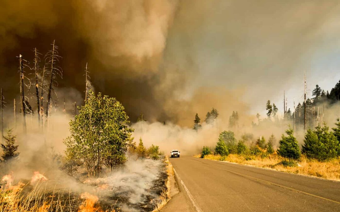 Wildfires Bring Insurance Restrictions for Some Oregon Zip Codes