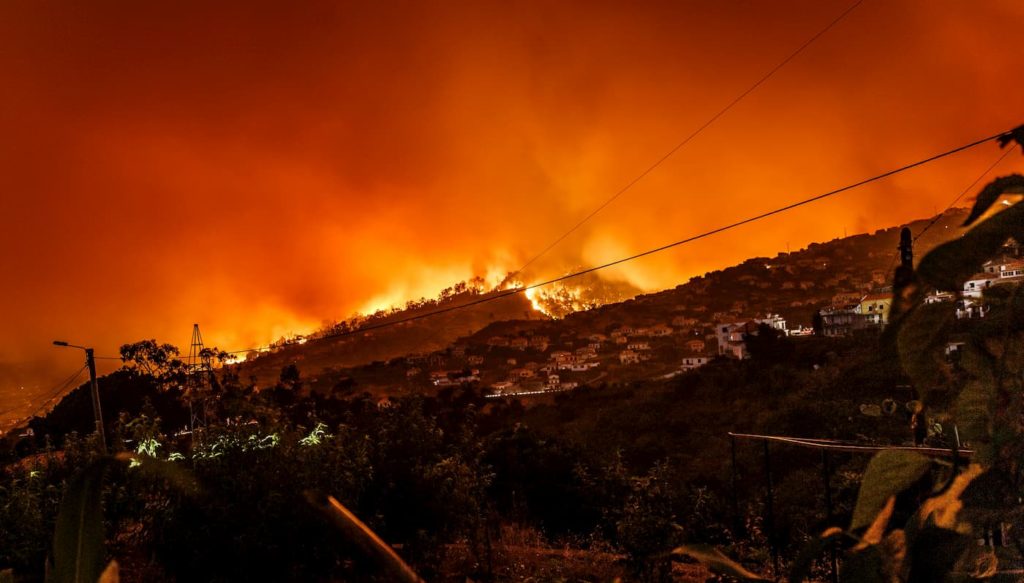 A wildfire approaches a neighborhood at night.