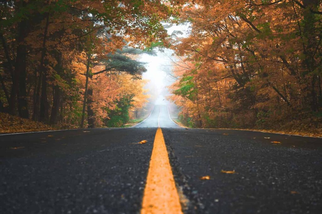 An image of a country road with trees exploding with fall colors