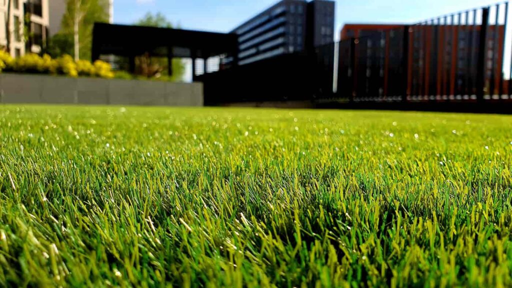 a green yard boosts curb appeal