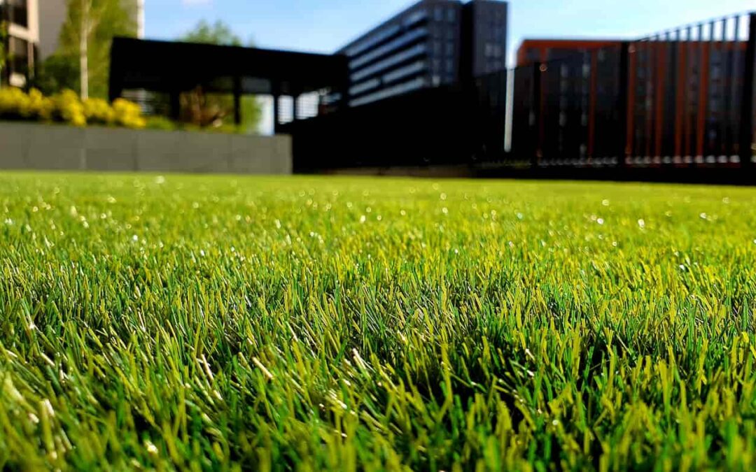 Spring Yard Maintenance to Boost Curb Appeal