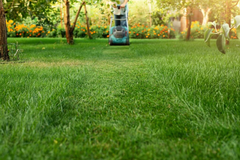 A landlord mows the lawn as part of their summer maintenance work.