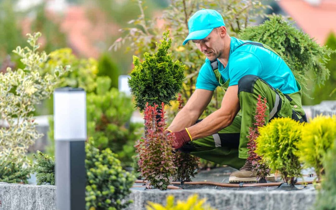 a worker installing landscaping